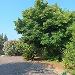 Lejlighed Alla Villa Policastro Bussentino