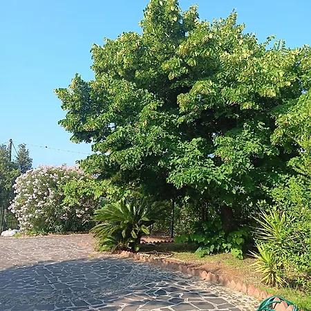 Lägenhet Alla Villa Policastro Bussentino